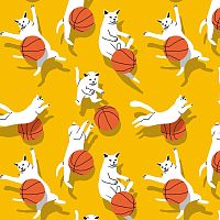Принт "Коты и баскетбол"
